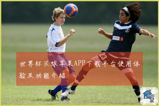 世界杯买球苹果APP下载平台使用体验及功能介绍