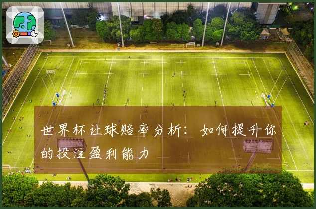世界杯让球赔率分析：如何提升你的投注盈利能力