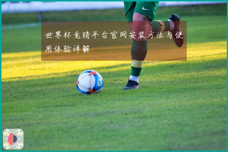 世界杯竞猜平台官网安装方法与使用体验详解