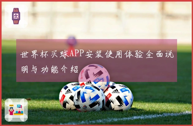 世界杯买球APP安装使用体验全面说明与功能介绍