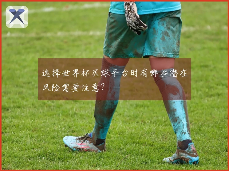选择世界杯买球平台时有哪些潜在风险需要注意？