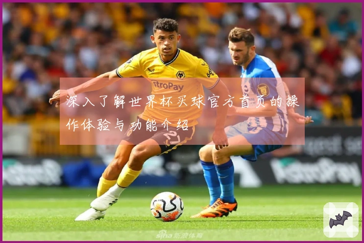 深入了解世界杯买球官方首页的操作体验与功能介绍