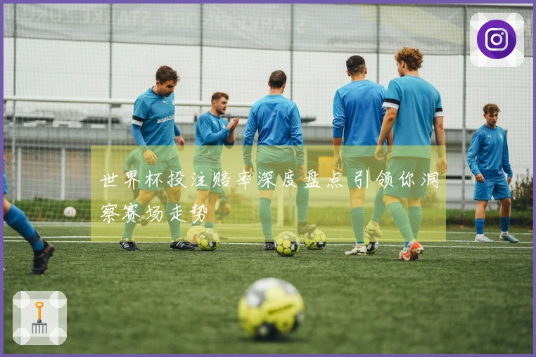 世界杯投注赔率深度盘点 引领你洞察赛场走势