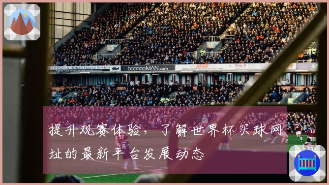 提升观赛体验，了解世界杯买球网址的最新平台发展动态