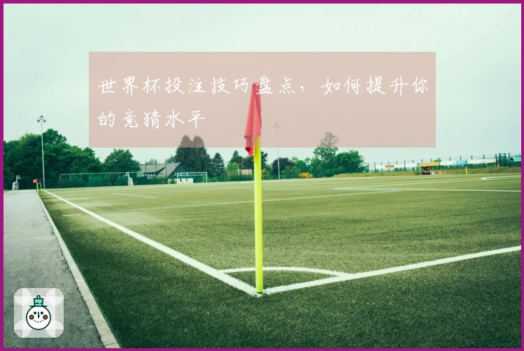 世界杯投注技巧盘点，如何提升你的竞猜水平