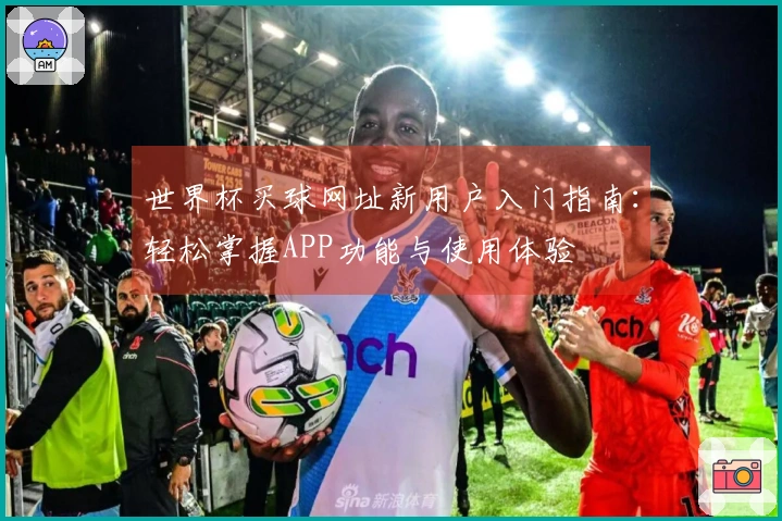 世界杯买球网址新用户入门指南：轻松掌握APP功能与使用体验