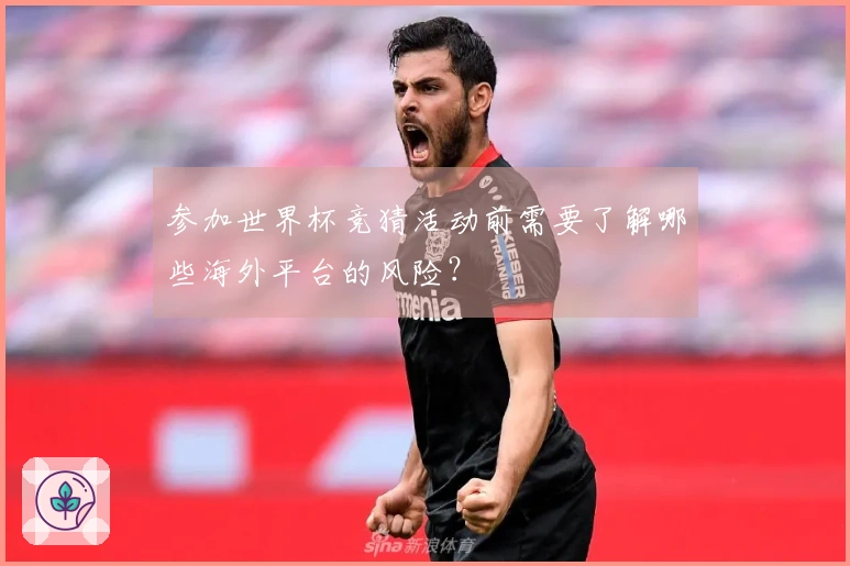 参加世界杯竞猜活动前需要了解哪些海外平台的风险？