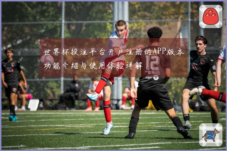 世界杯投注平台开户注册的APP版本功能介绍与使用体验详解