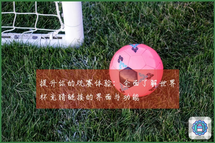 提升你的观赛体验：全面了解世界杯竞猜链接的界面与功能