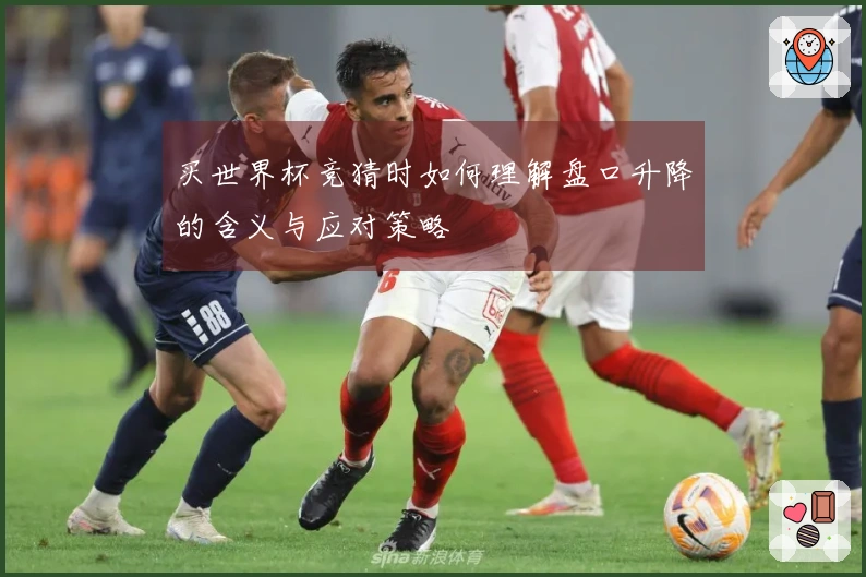 买世界杯竞猜时如何理解盘口升降的含义与应对策略