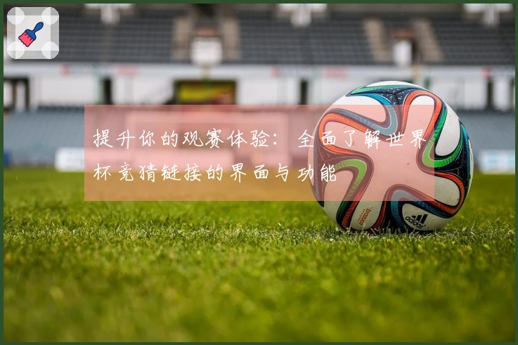 提升你的观赛体验：全面了解世界杯竞猜链接的界面与功能