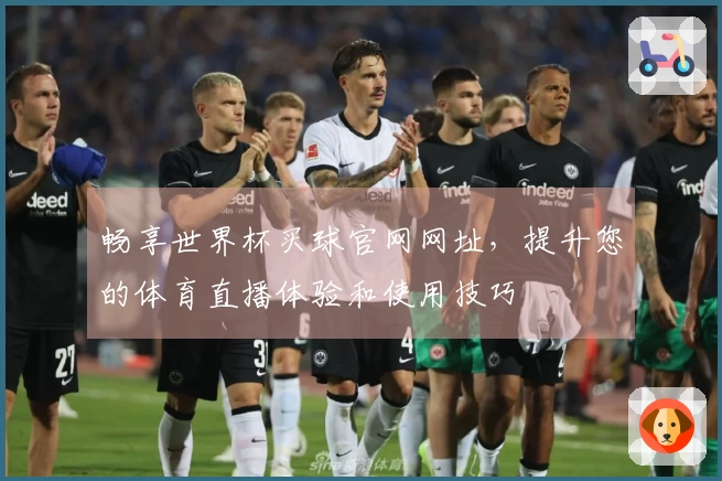 畅享世界杯买球官网网址,提升您的体育直播体验和使用技巧