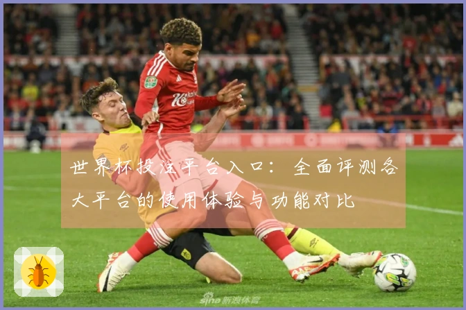 世界杯投注平台入口：全面评测各大平台的使用体验与功能对比
