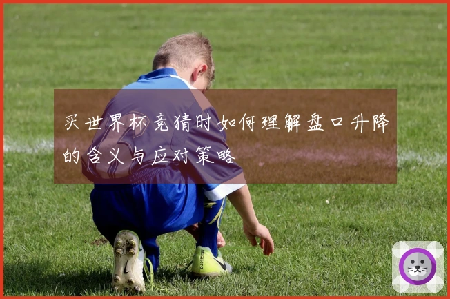 买世界杯竞猜时如何理解盘口升降的含义与应对策略