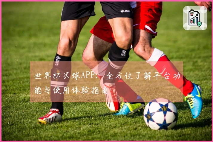世界杯买球APP：全方位了解平台功能与使用体验指南